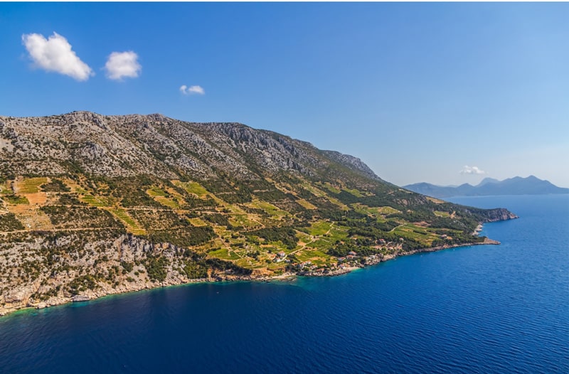 Dingac-featured-image