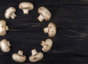 top view of fresh mushrooms champignon