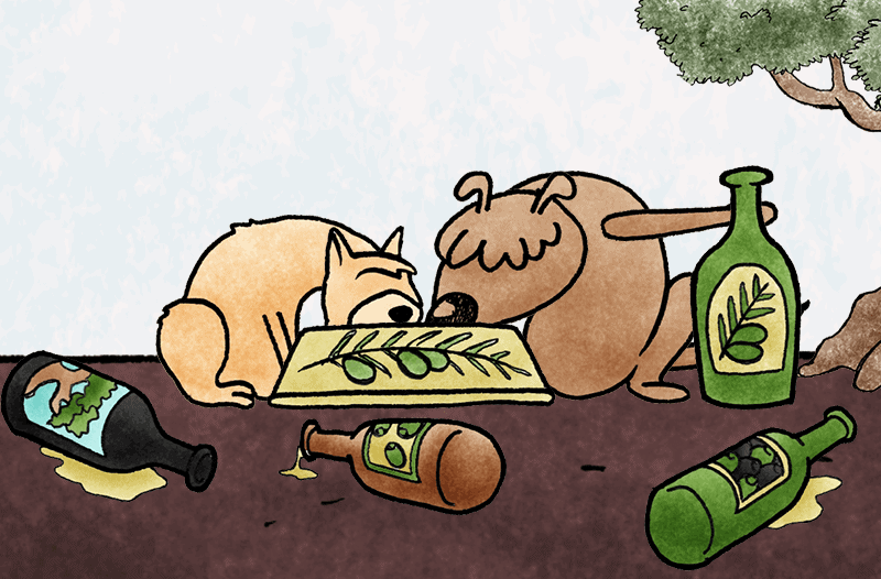 olive-oil-pets_featured