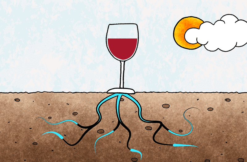 terroir-wines_featured