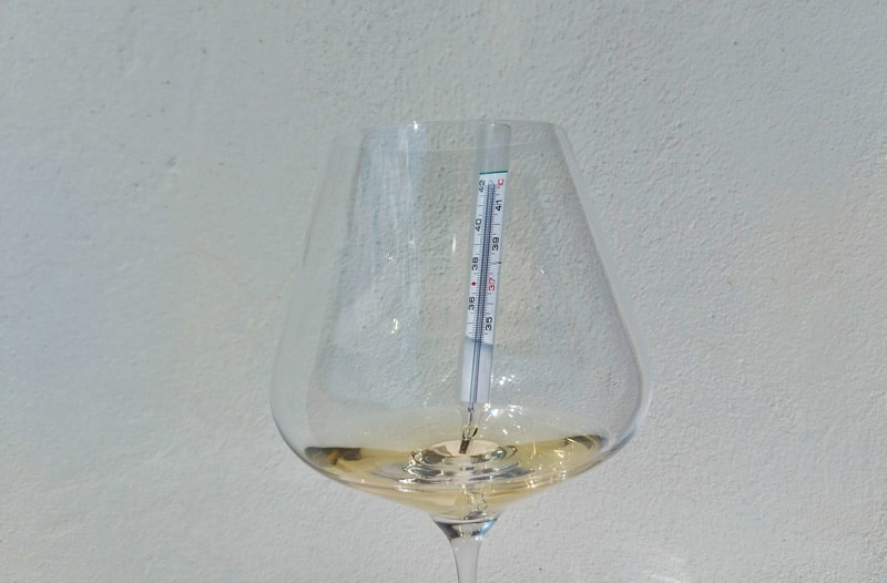 Best-temperature-to-serve-wine-Featured