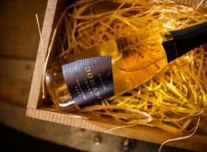 Domano-foto-featured