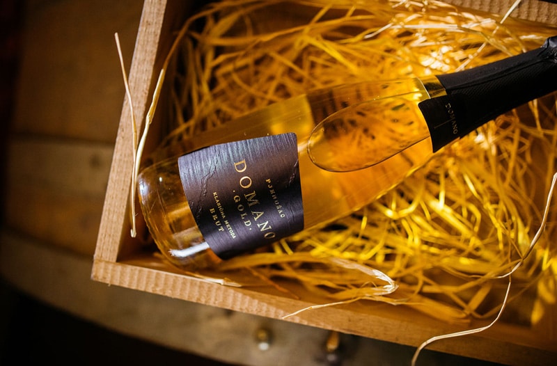 Domano-foto-featured