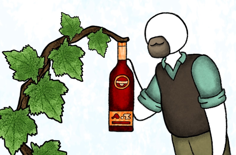 natural-wines_featured