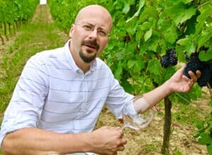 Wine-Expert-Featured